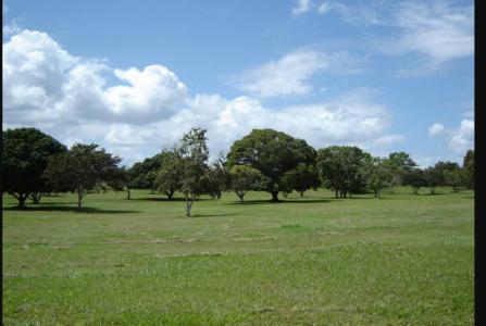 Progresso, Corozal 00001, Belize