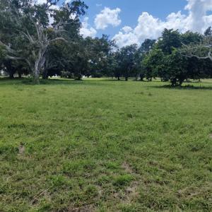 Progresso, Corozal 00001, Belize