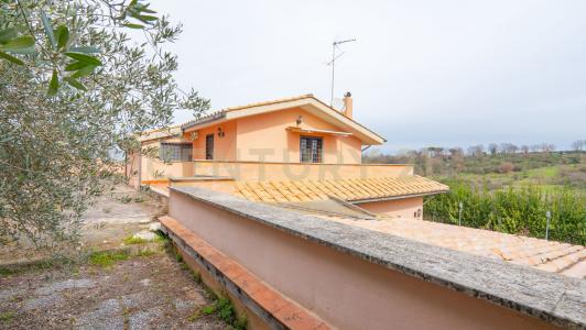 Via Fontanucola, Morlupo, Lazio 00067, إيطاليا