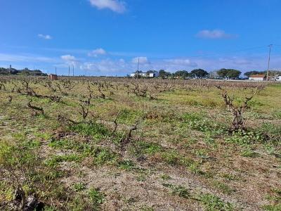 Palmela, Setubal 2965, Portugal