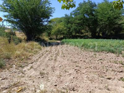 Acatlán, Puebla 74949, Mexico