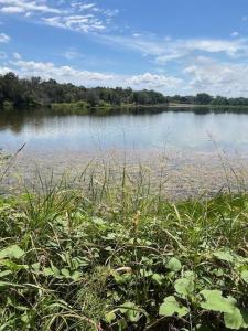 1065 Bluegill Ridge, Bluff Dale, Texas 76433, USA