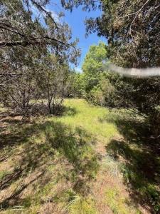 1065 Bluegill Ridge, Bluff Dale, Texas 76433, Estados Unidos