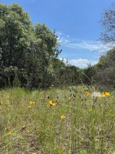 1065 Bluegill Ridge, Bluff Dale, Texas 76433, Estados Unidos