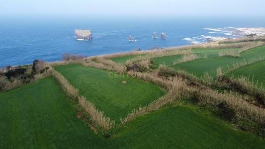 Ponta Delgada, São Miguel Island 9555, Portugal