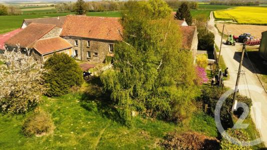 La Ferte Gaucher, Île-de-France 77320, Pháp