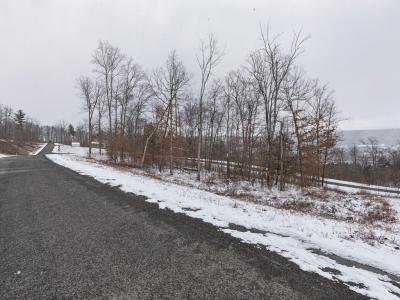 Lot 37 Hemlock Hills Rd, Towanda, Pennsylvania 18848, USA