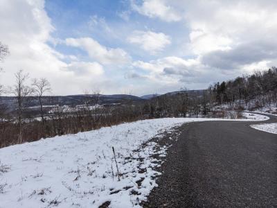 Lot 37 Hemlock Hills Rd, Towanda, Pennsylvania 18848, USA