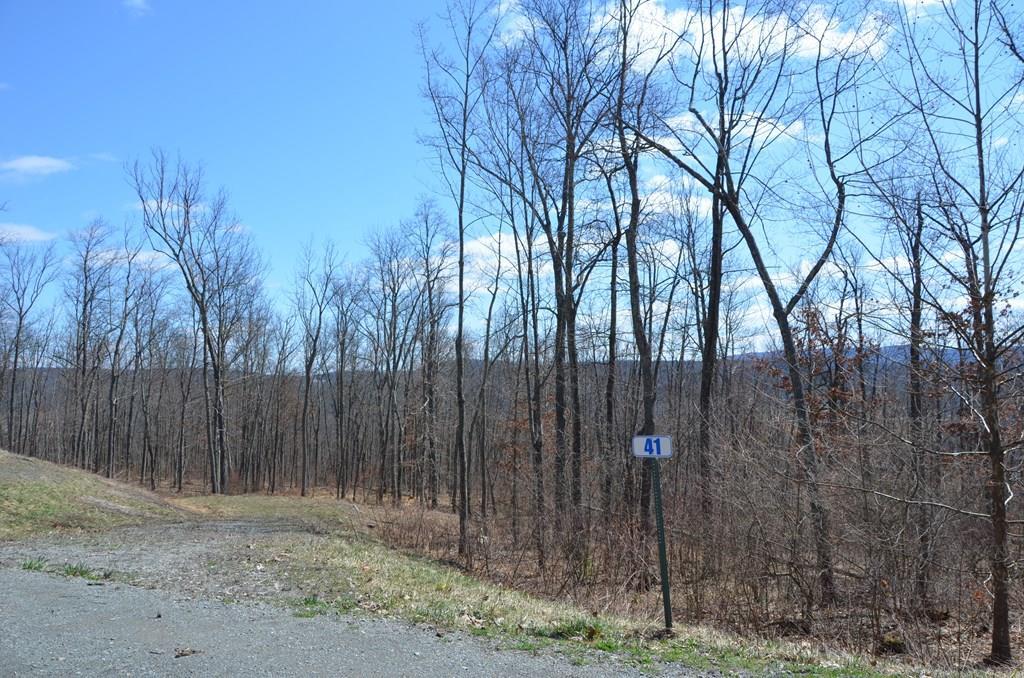 Lot 41 Hemlock Hills Rd, Towanda, Pennsylvania 18848