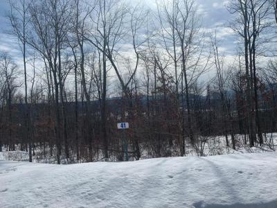 Lot 41 Hemlock Hills Rd, Towanda, Pennsylvania 18848