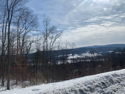 Lot 41 Hemlock Hills Rd, Towanda, Pennsylvania 18848
