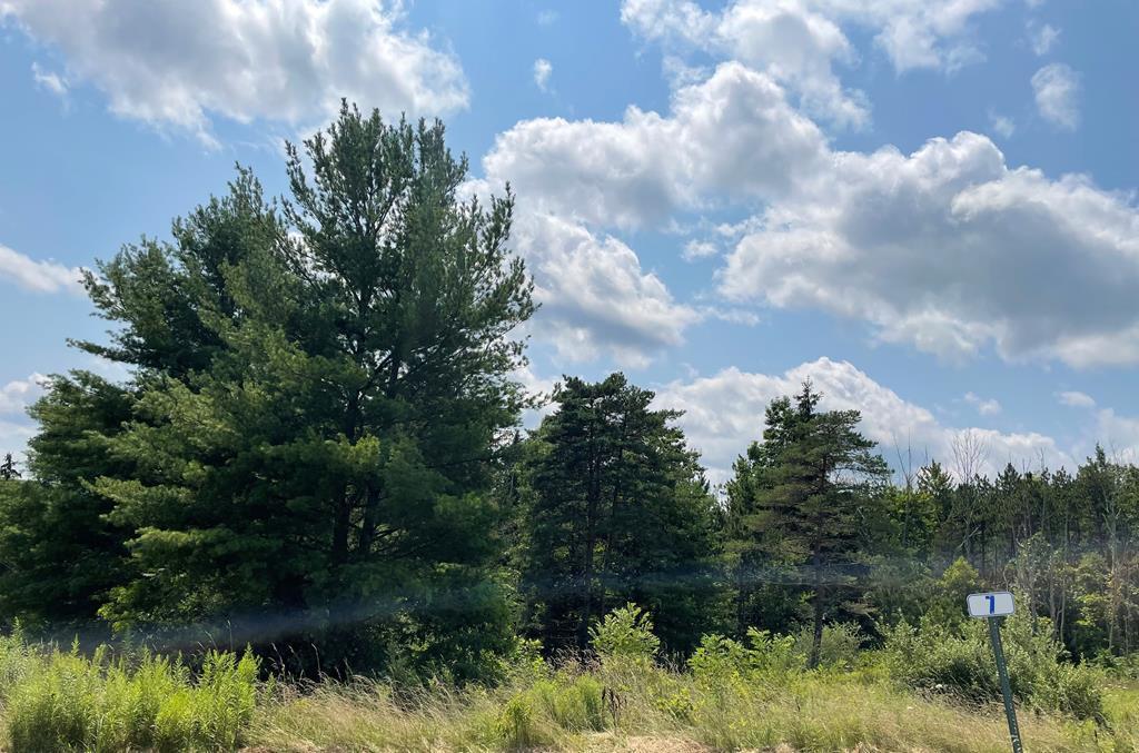 Lot 7 Hemlock Hills Rd, Towanda, Pennsylvania 18848