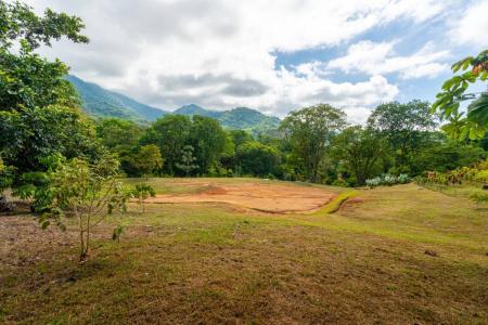 Ojochal Puerto Cortés Osa, 蓬塔雷纳斯 00001, 哥斯达黎加