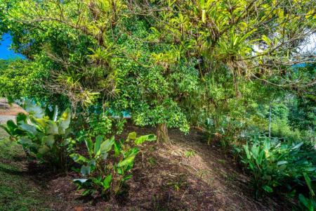 Ojochal Puerto Cortés Osa, 蓬塔雷纳斯 00001, 哥斯达黎加