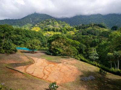 Ojochal Puerto Cortés Osa, 蓬塔雷纳斯 00001, 哥斯达黎加