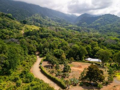 Ojochal Puerto Cortés Osa, 蓬塔雷纳斯 00001, 哥斯达黎加