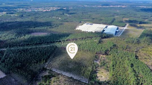 Marinha Grande, Leiria 3105-104, Portugal