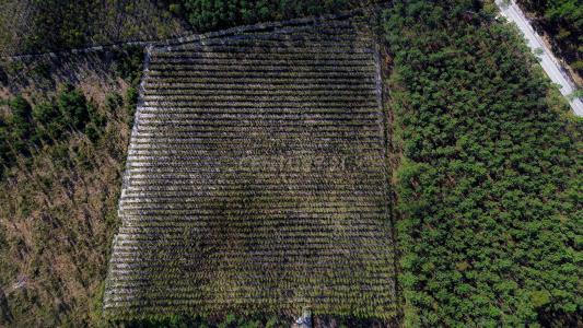 Marinha Grande, Лейрия 3105-104, Португалия