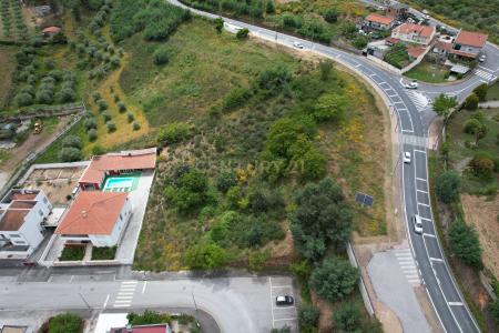 Mirandela, Braganza 5370-405, Portugal