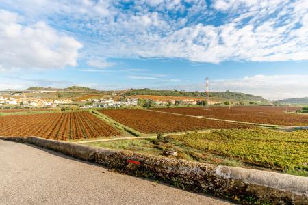 Vila Franca De Xira, ליסבון 2600-581, פורטוגל