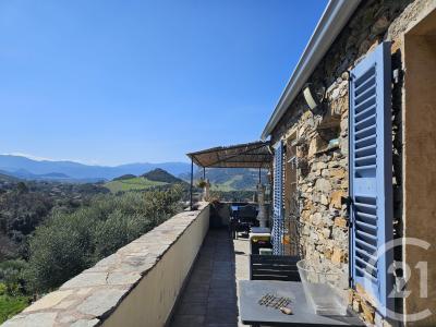 Patrimonio, Corse 20253, Frankreich