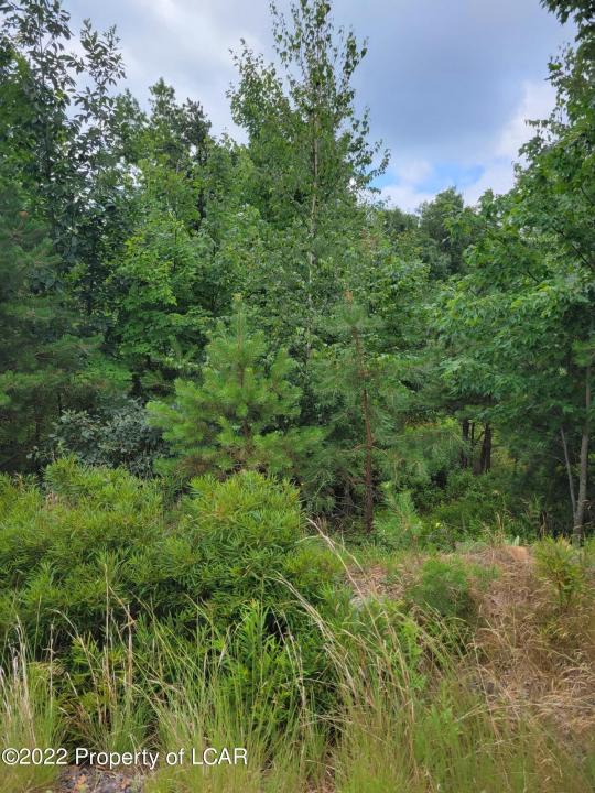 MV 065 Appalachian Way, Hazle Twp, Pennsylvania 18202, USA