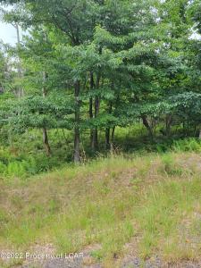 MV 065 Appalachian Way, Hazle Twp, Pennsylvania 18202, USA