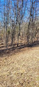 1 Eagle Shore Dr, Dover, Tennessee 37058, Stati Uniti