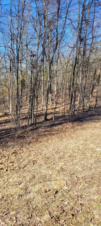 1 Eagle Shore Dr, Dover, Tennessee 37058, HOA KỲ
