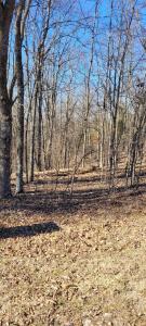 1 Eagle Shore Dr, Dover, Tennessee 37058, HOA KỲ