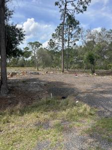 560 S Shetland Street, Clewiston, Florida 33440, Estados Unidos