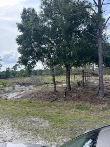 560 S Shetland Street, Clewiston, Florida 33440, Estados Unidos