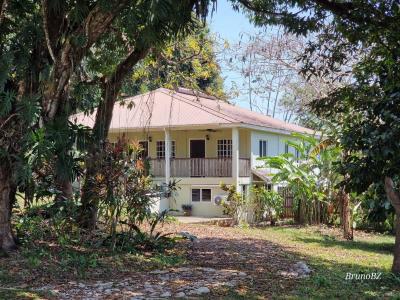 , Cattle Landing, Toledo 00001, Belize