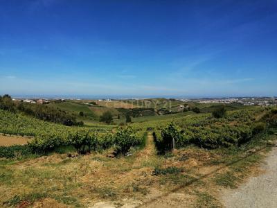 Torres Vedras, Lizbon 2565, Portekiz