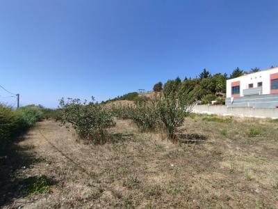 Torres Vedras, Lizbon 2565, Portekiz