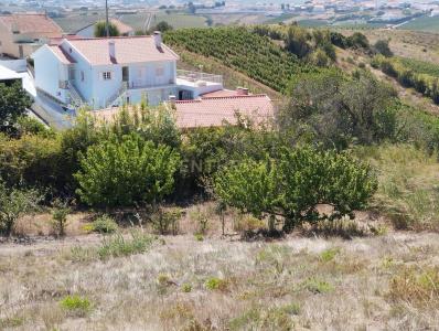 Torres Vedras, Lizbon 2565, Portekiz