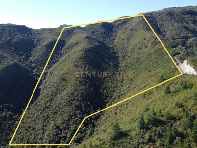 Santana, Madeira 9230-048, Portugal