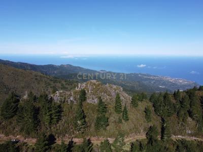 Santana, Madeira 9230-048, Portugal