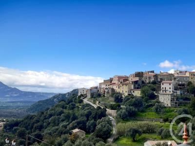 Zilia, Corse 20214, França