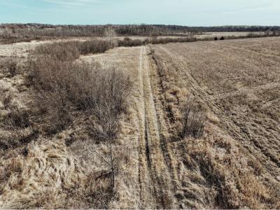 Xxx County 48, Long Prairie, 明尼蘇達州 56347, 美國