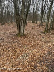2706 Oneida Terrace, Albrightsville, Pennsylvanie 18210, États-Unis