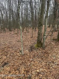 2706 Oneida Terrace, Albrightsville, Pennsylvanie 18210, États-Unis