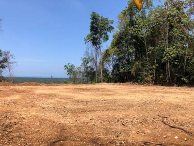 San Buenaventura Puerto Cortés Osa, Puntarenas 00001, Costa Rica