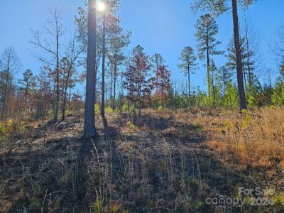 2195 Inlet Shore Road, Connelly Springs, North Carolina 28612