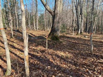 TBD-undeveloped Oak Ridge, Houghton, Michigan 49931, USA