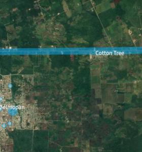 Cotton Tree, Cayo +501, Belize