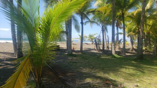 Parrita Parrita, Puntarenas 00001, Kosta Rika