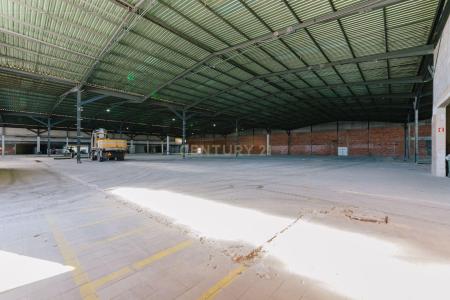 Benavente, Santarem 2973-000, Portugal