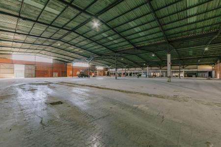 Benavente, Santarem 2973-000, Portugal
