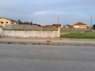 Mira, Coimbra 3840-346, Portugal
